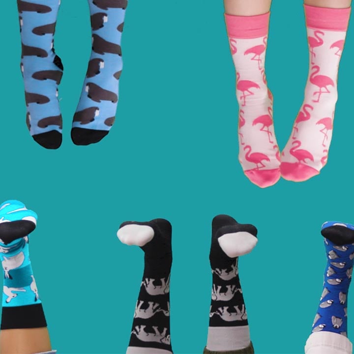 various pairs of socks