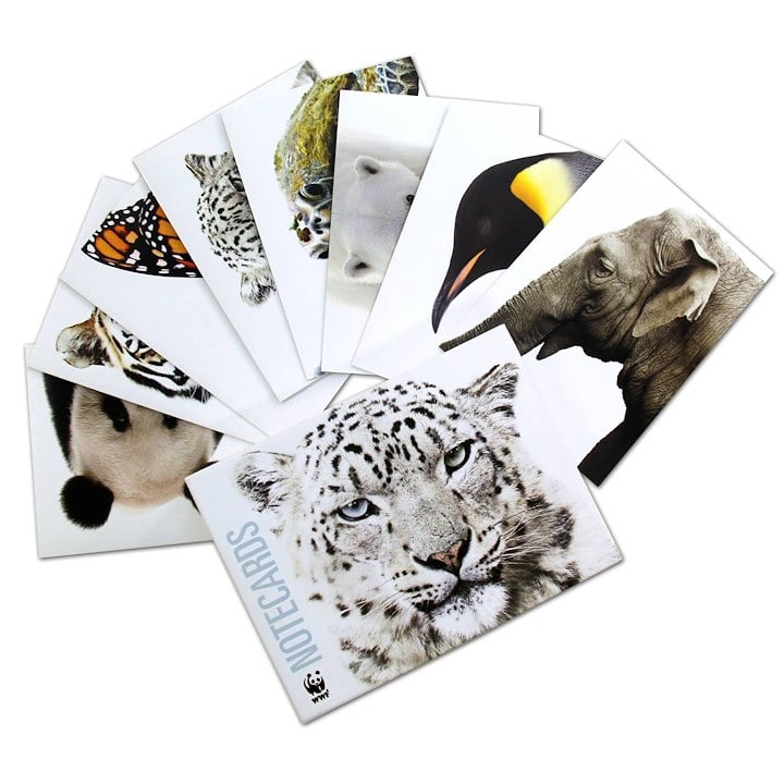 Species Note Cards