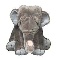 Bornean Elephant
