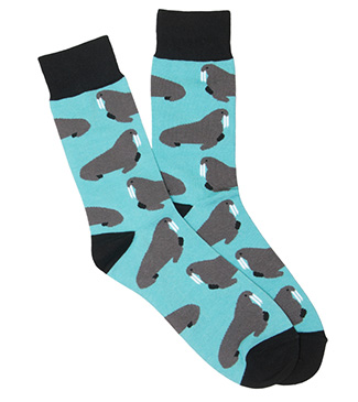 Set of Socks | Apparel from WWF