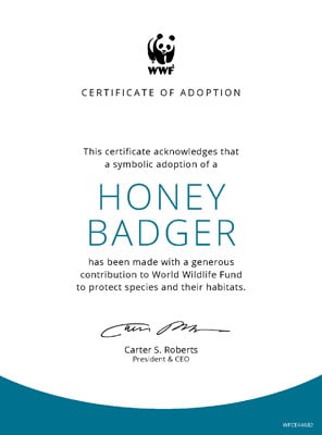 Adopt a Honey Badger  Symbolic Adoptions from WWF