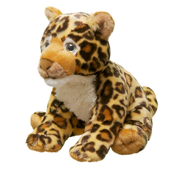 Adopt a Leopard  Symbolic Adoptions from WWF
