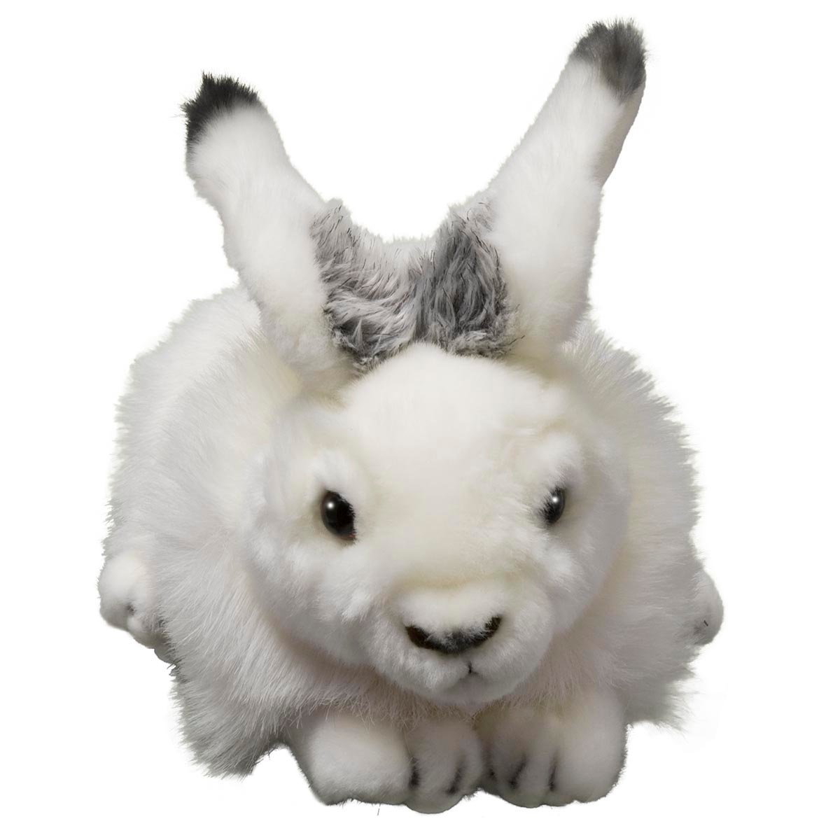 Adopt an Arctic Hare | Symbolic Adoptions from WWF