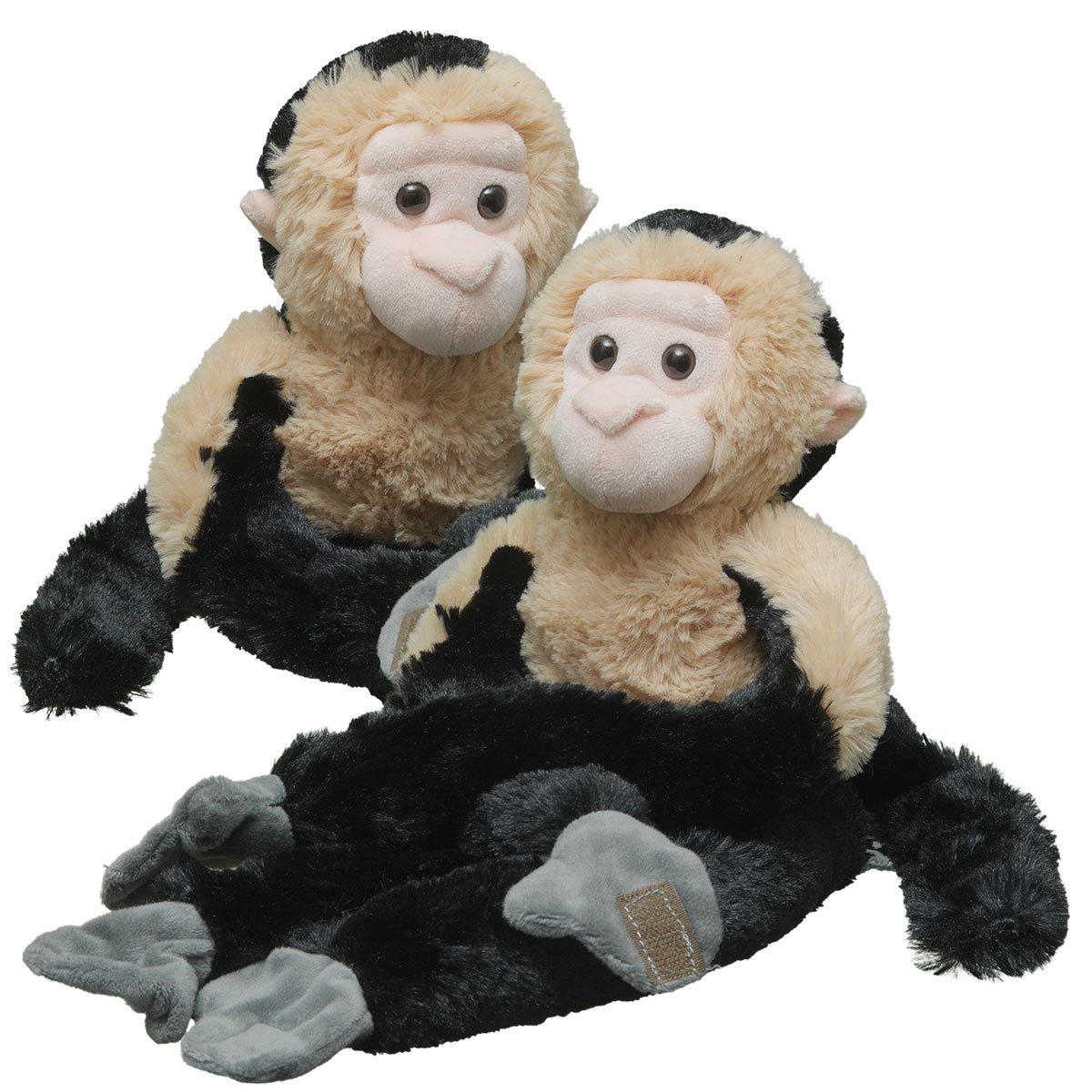 Adopt A Capuchin Monkey Symbolic Adoptions From Wwf