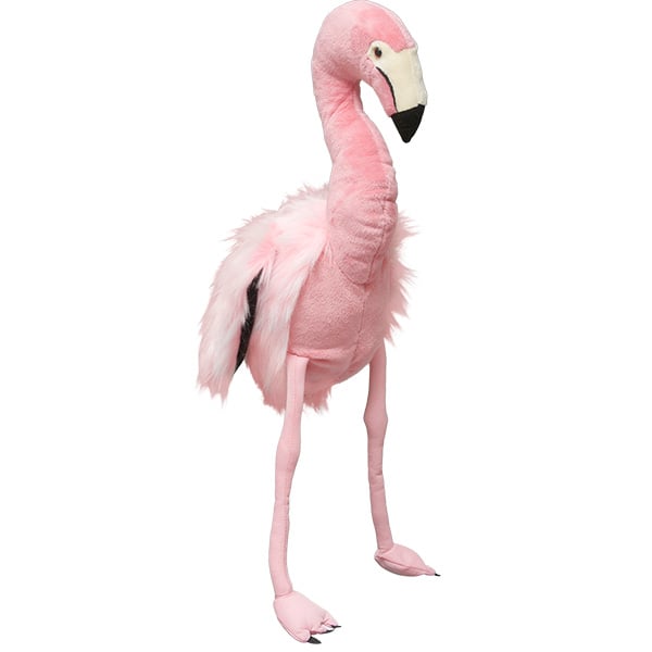 Adopt a Flamingo | Symbolic from WWF