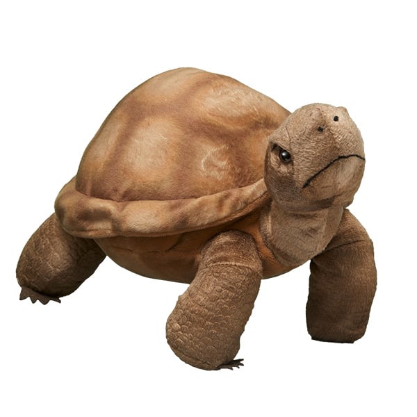 plush tortoise