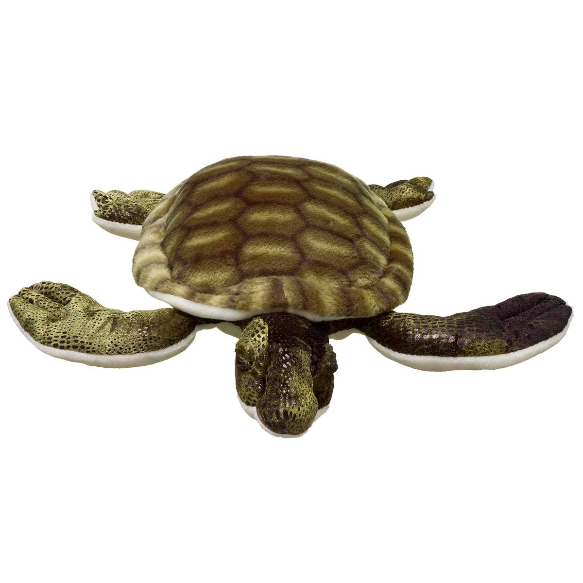 Adopt a Green Turtle | Symbolic Adoptions from WWF