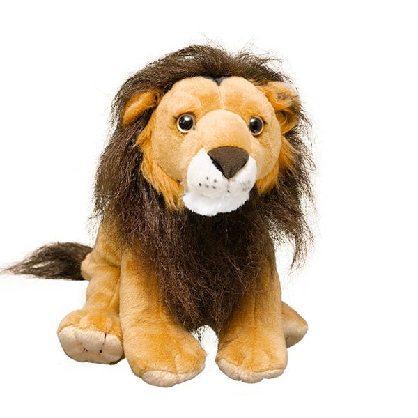 Adopt A Lion Symbolic Animal Adoptions From Wwf