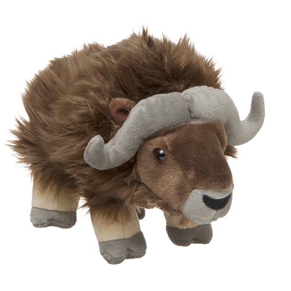 Adopt A Musk Ox Symbolic Adoptions From Wwf